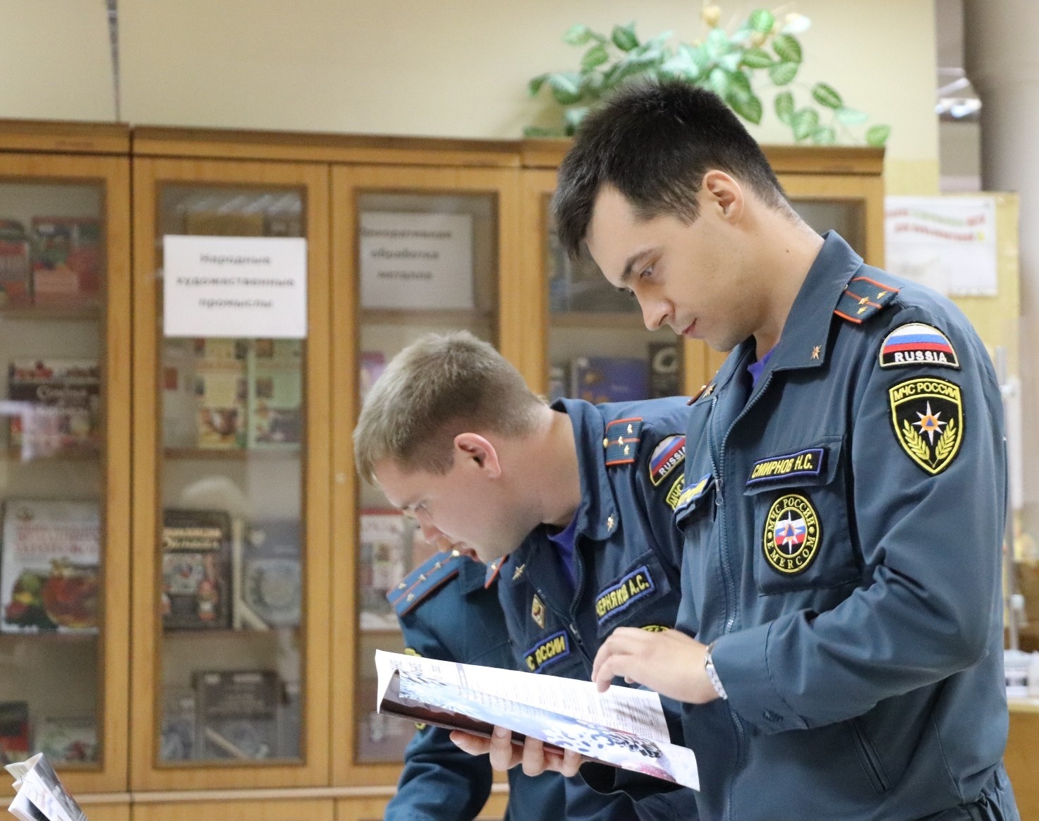 Право орел. Пожарный надзор. Госпожнадзор МЧС. Государственного пожарного надзора в России. Гос пожарный надзор.