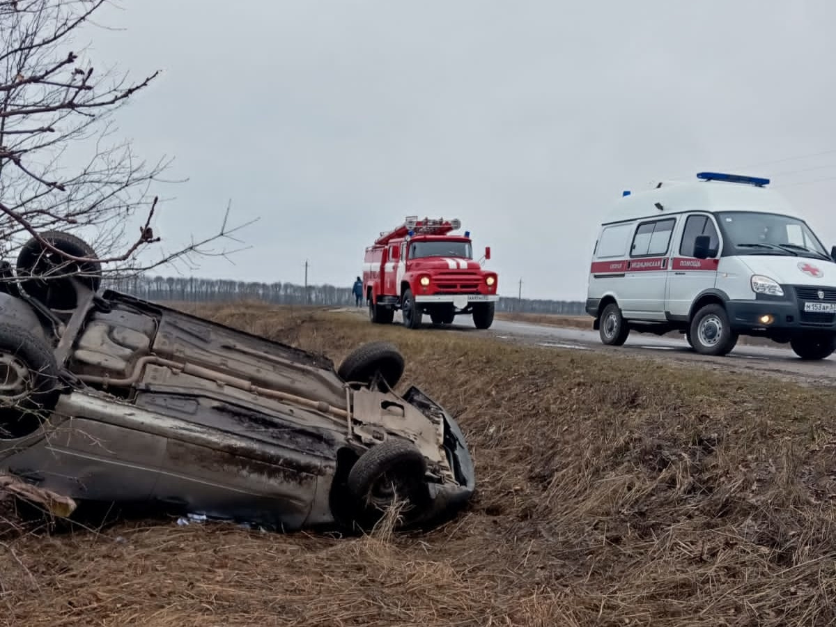 покровское орловской области фото